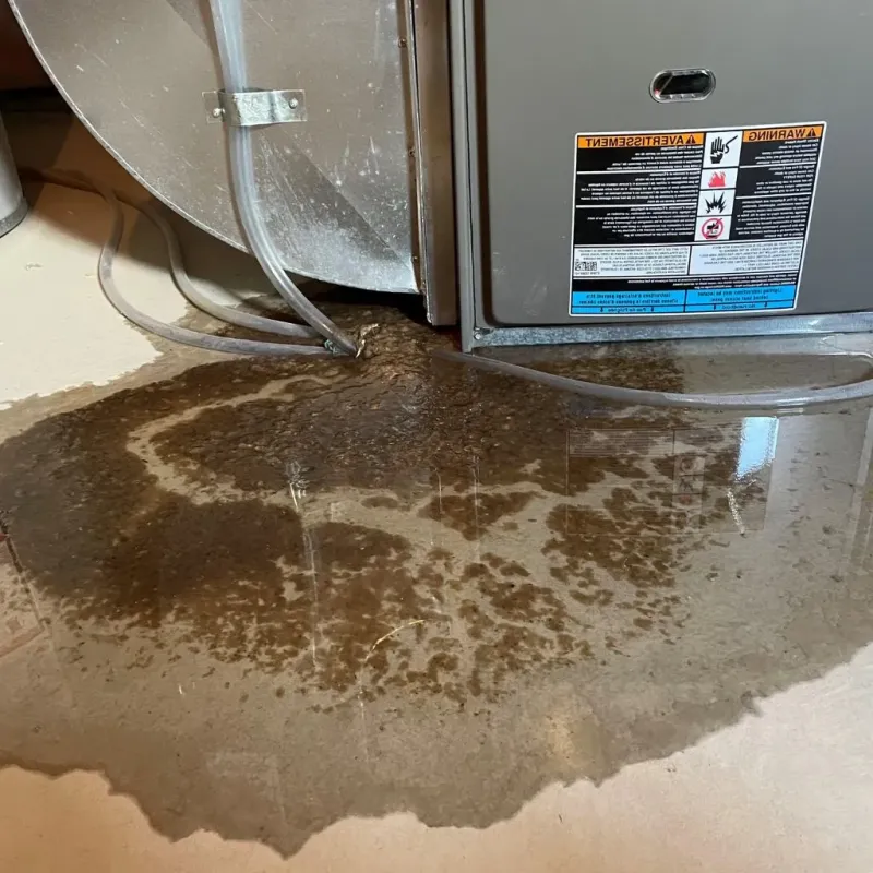 Pipe Burst and Leak Restoration in Poseyville, IN